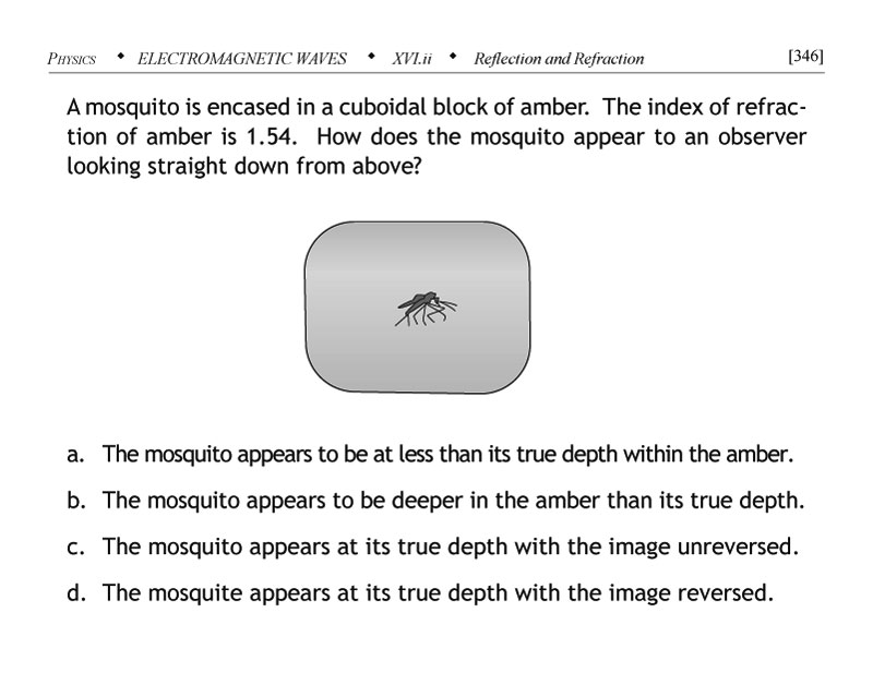 Refraction question involving a mosquito encased in amber
