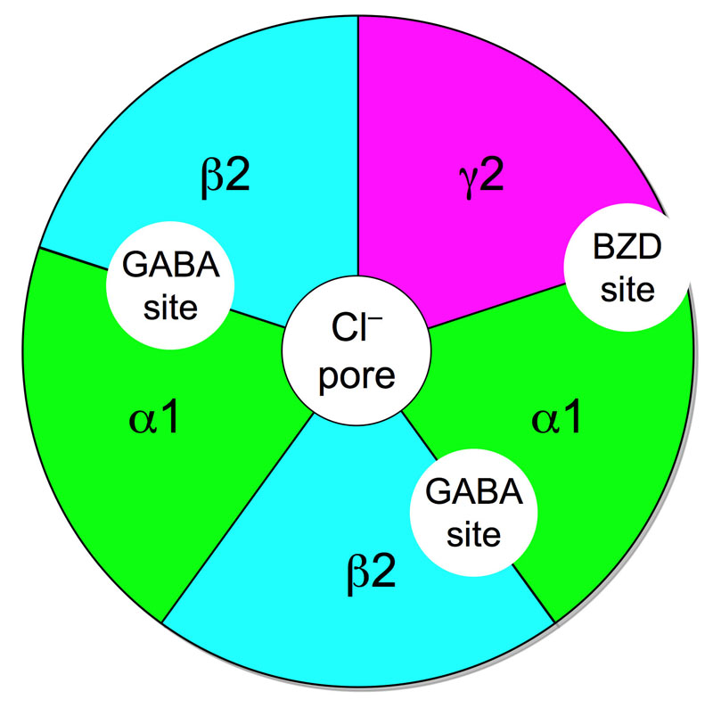 The core structure of benzodiazepines.