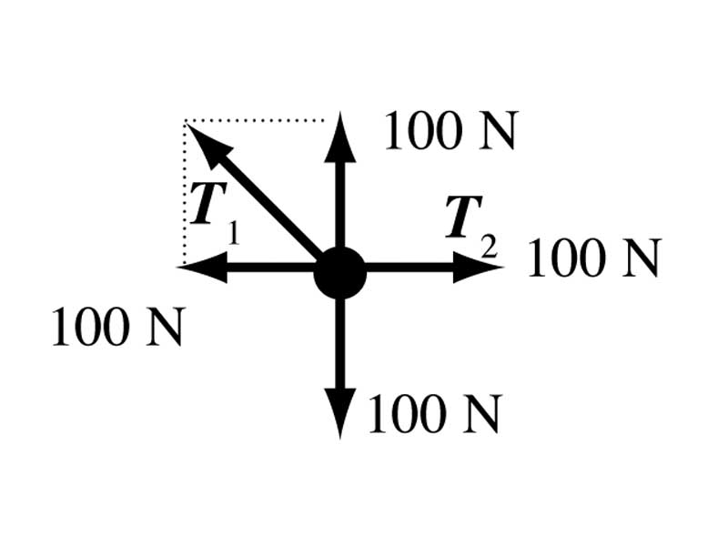 Free body diagram