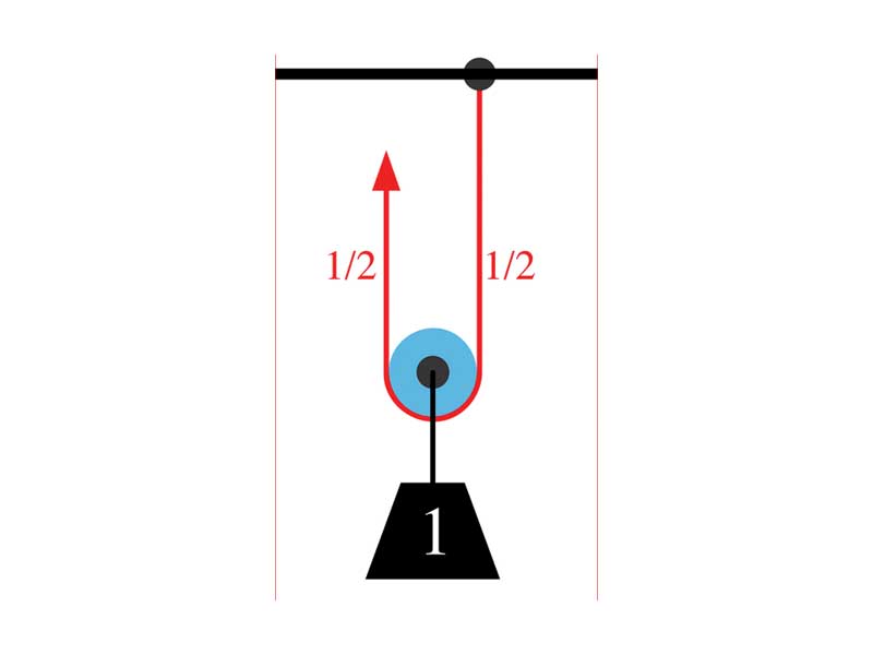 A single movable pulley lifting a unit weight. The tension in the ropes is 1/2 for each rope.