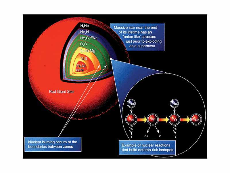 Cross section of a red giant showing nucleosynthesis and elements formed
