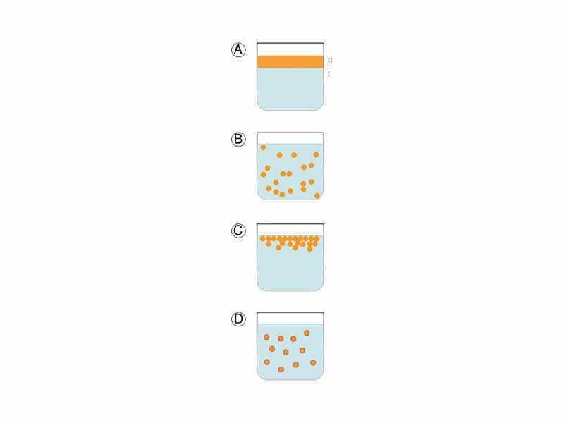 A. Two immiscible liquids, not emulsified B. Emulsion of Phase II dispersed in Phase I C. The unstable emulsion progressively separates D. Surfactant positions itself on interface between Phases I and II, stabilizing emulsion