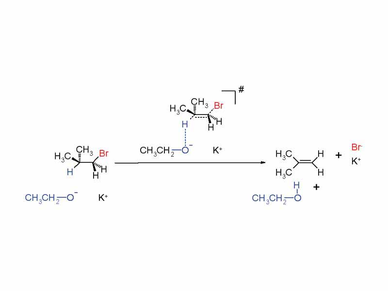 E2 reaction