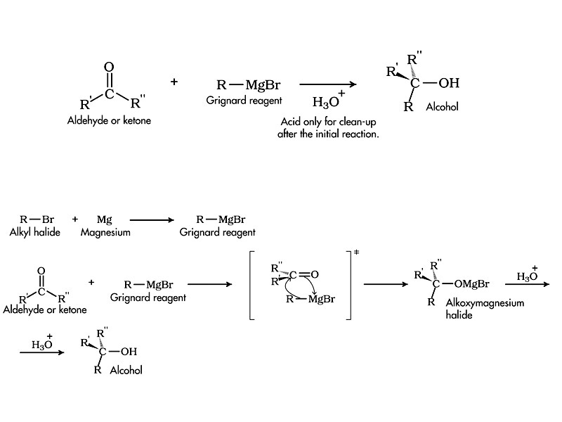 Reaction of Grignard Reagents with Aldehydes and Ketones