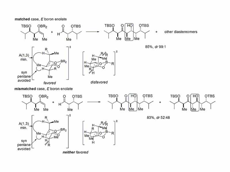 If both the enolate and the aldehyde both contain pre-existing chirality, then the outcome of the double stereodifferentiating aldol reaction may be predicted using a merged stereochemical model that takes into account the enolate facial bias, enolate geometry, and aldehyde facial bias. The figure shows several examples of the application of this model.