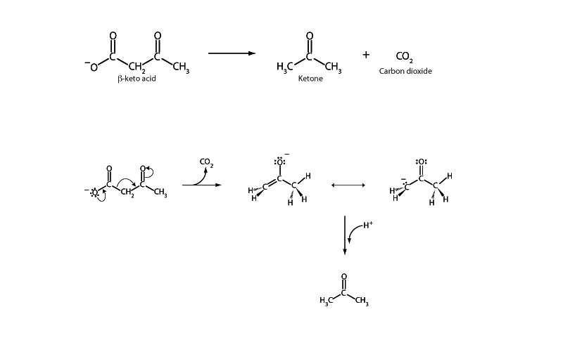 Decarboxylation of beta keto acid