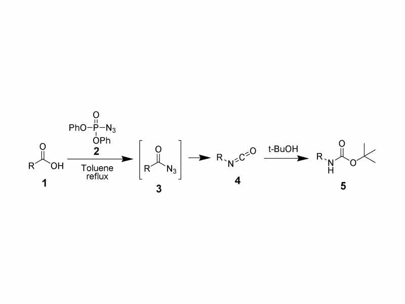 Curtius rearrangement. Using diphenylphosphorylazide to convert an acid to a BOC-protected amine.
