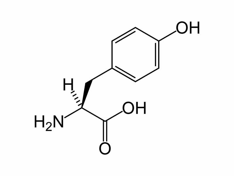 L-tyrosine