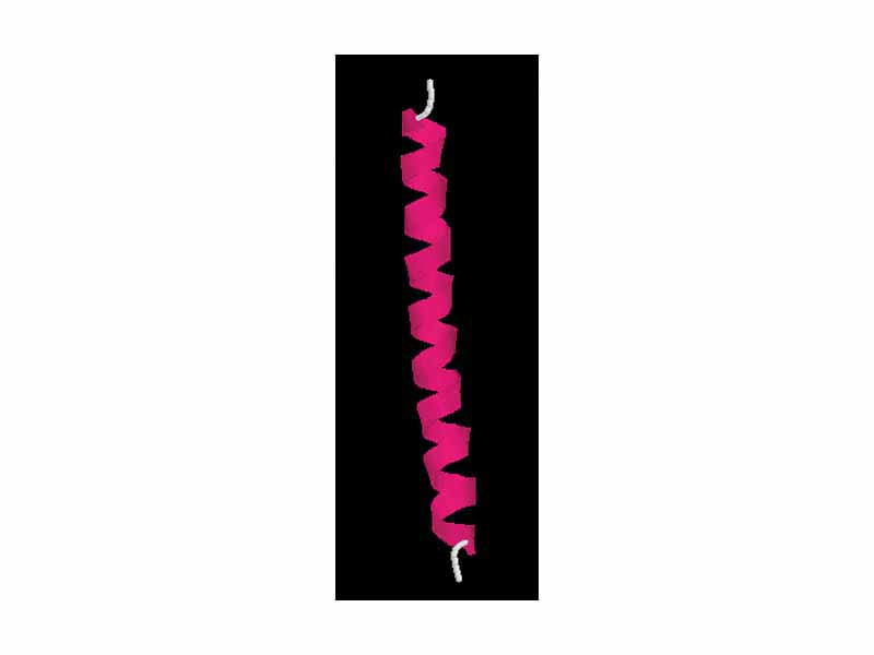 Alpha helix - Ribbon
