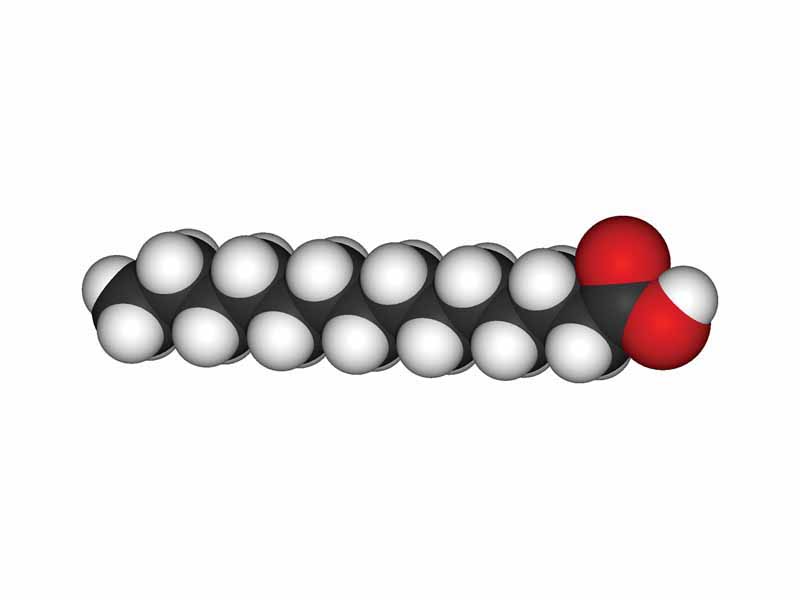 Myristic acid ball and stick