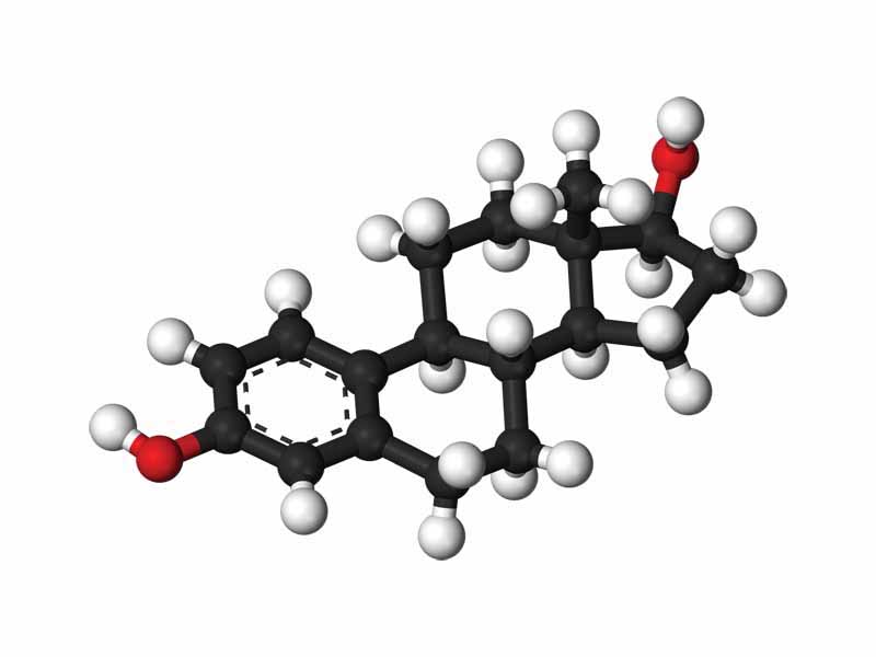 Estradiol ball and stick