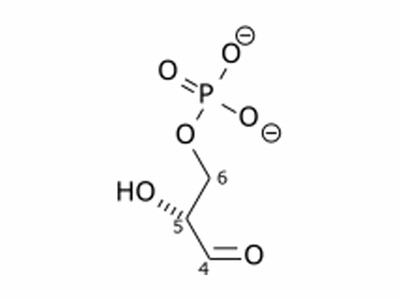 Glyceraldehyde 3-phosphate