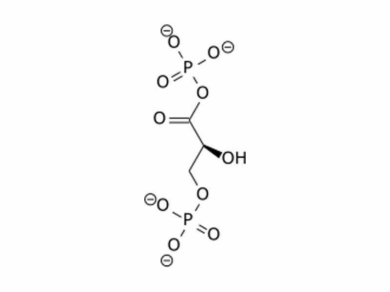 1,3-Bisphosphoglycerate