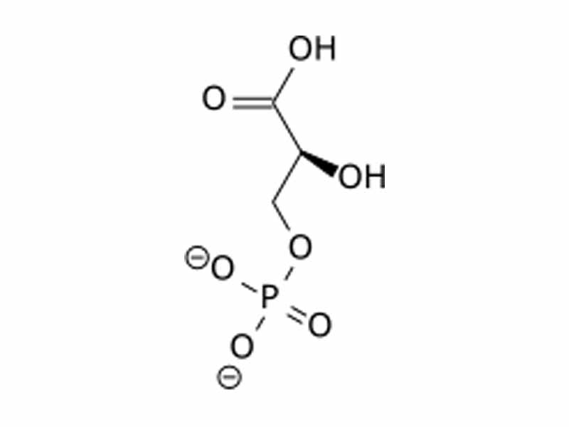 3-Phosphoglycerate