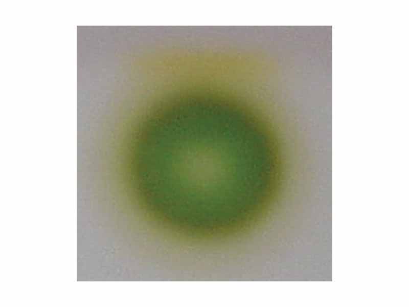 TLC of chlorophyl - step 1