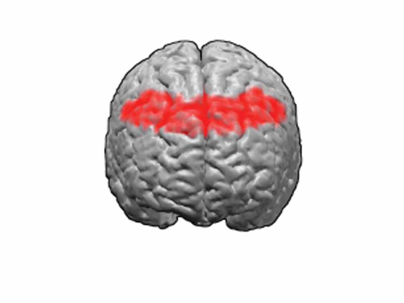 Brodmann area 8. BA8 is in the posterior part of the frontal lobe.