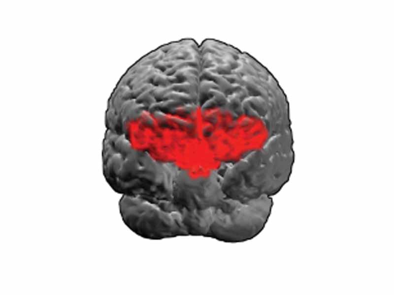 Brodmann area 11. BA11 is on the ventral surface (underside) of the anterior frontal lobe.