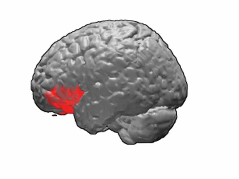Brodmann area 47. BA47 is in the frontal lobe.