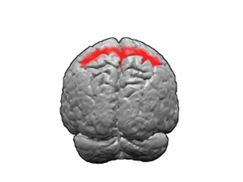 Brodmann areas 5. BA5 is in the superior parietal lobe.