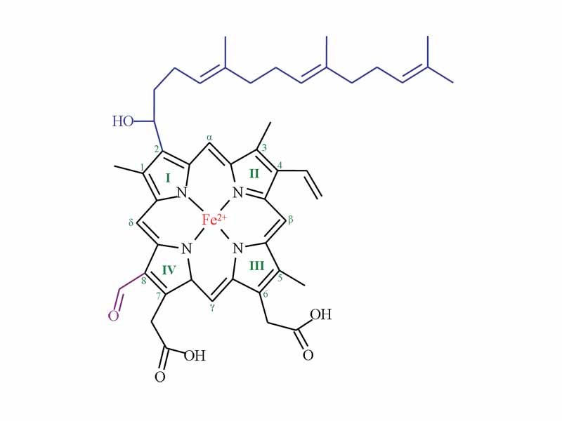 Heme A Heme A is synthesized from Heme B. In two sequential reactions a 17-hydroxyethylfarnesyl moiety (blue) is added at the 2-position and an aldehyde (purple) is added at the 8-position. Nomenclature is shown in green.