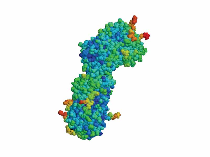 Antithrombin dimer
