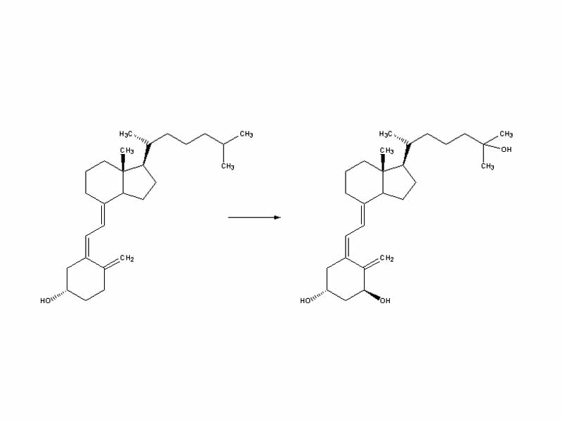 Whether it is made in the skin or ingested, vitamin D3 (cholecalciferol) is then hydroxylated in the liver to 25-hydroxycholecalciferol (25(OH)D3 or calcidiol) by the enzyme 25-hydroxylase produced by hepatocytes, and stored until it is needed. 25-hydroxycholecalciferol is further hydroxylated in the kidneys by the enzyme 1?-hydroxylase, into two dihydroxylated metabolites, the main biologically active hormone 1,25-dihydroxycholecalciferol (1,25(OH)2D3 or calcitriol) and 24R,25(OH)2D3. This conversion occurs in a tightly regulated fashion. Calcitriol is represented below right (hydroxylated Carbon 1 is on the lower ring at right, hydroxylated Carbon 25 is at the upper right end).
