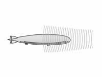 Sound wave illustration