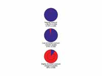 These pie-graphs showing the relative...