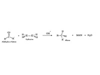 The Wolff-Kishner Reaction
 