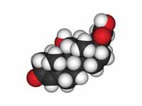 Cortisol 3D structure