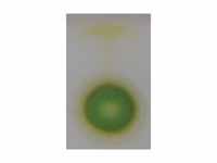 TLC of chlorophyl - step 2