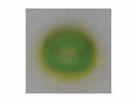 TLC of chlorophyl - step 3