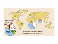 Map showing HIV-1 subtype prevalence....