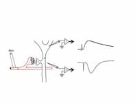 A schematic diagram showing a field p...